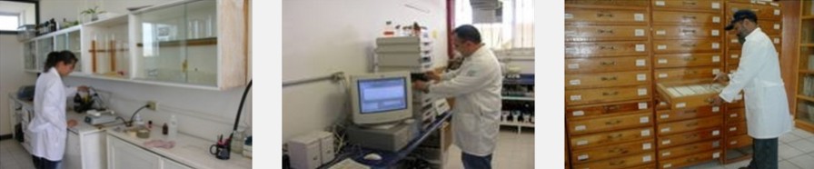 laboratorios durango