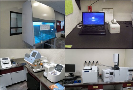 cbg-instrumentación