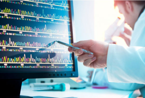 Caracterización Estructural, Química y Bioinformática