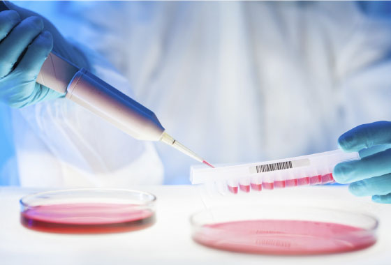 Biotecnología médica y farmacéutica